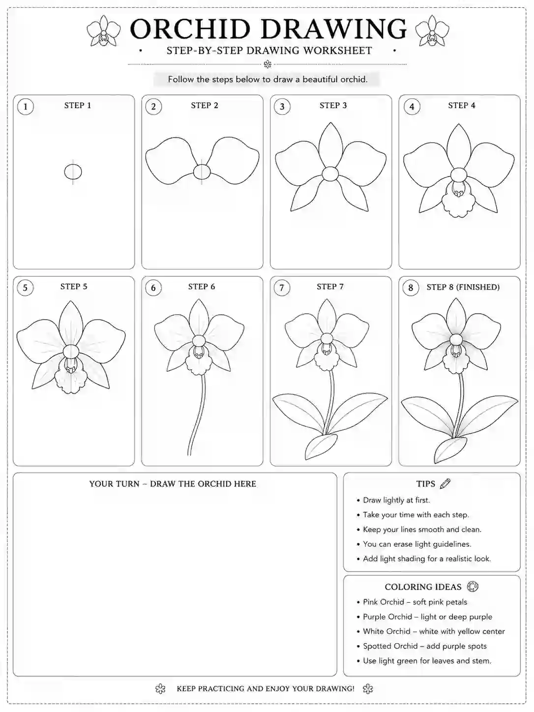 orchid drawing worksheet