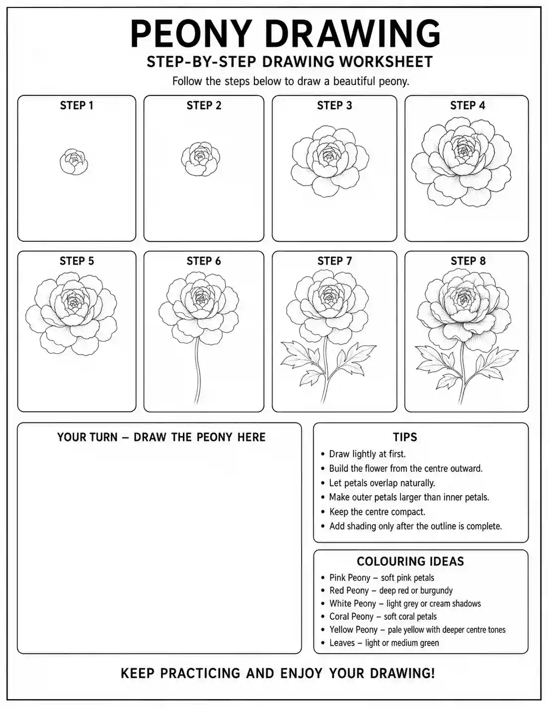 peony drawing worksheet