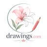 FlowerDrawings.org