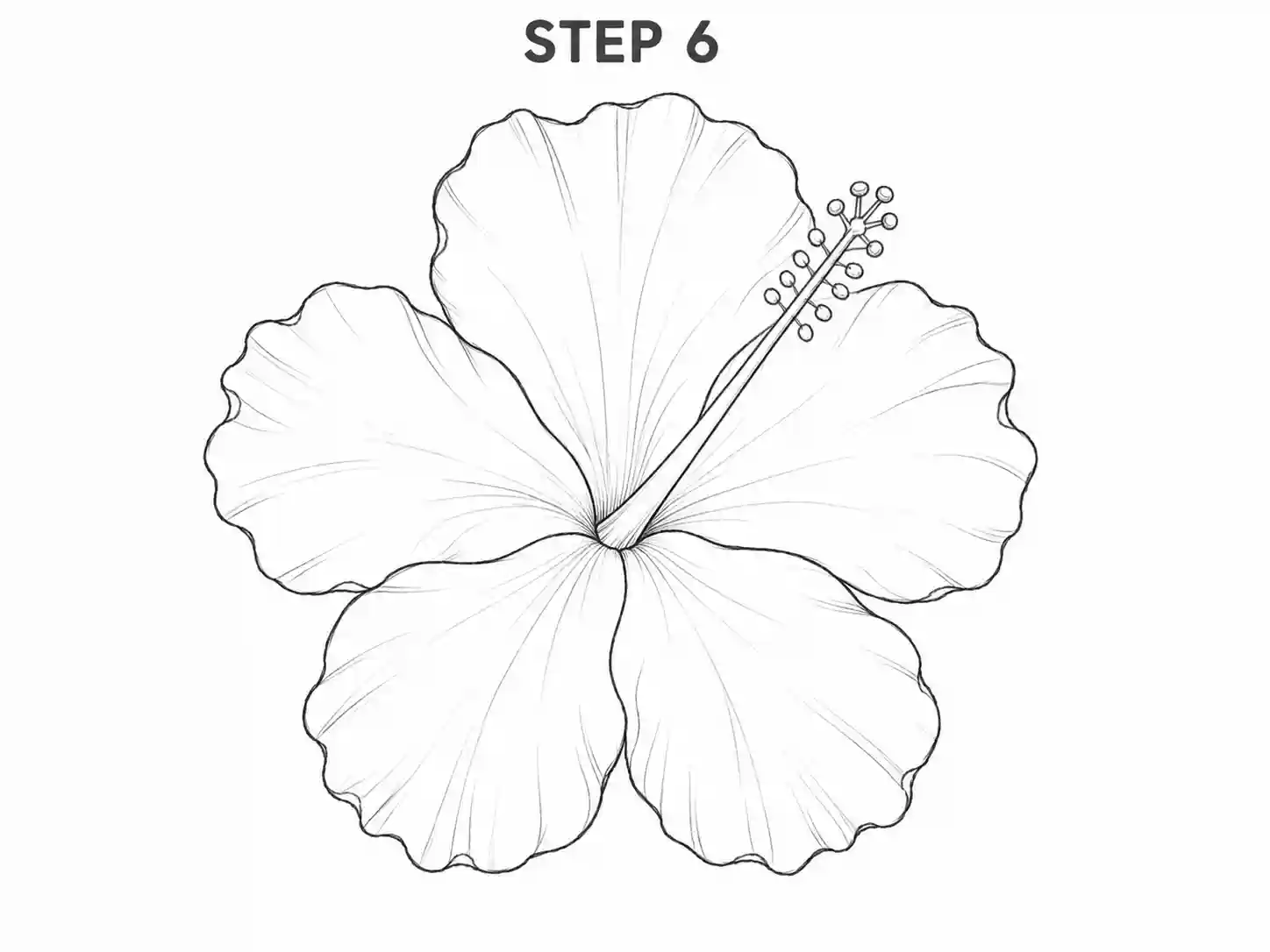Draw the long hibiscus stamen