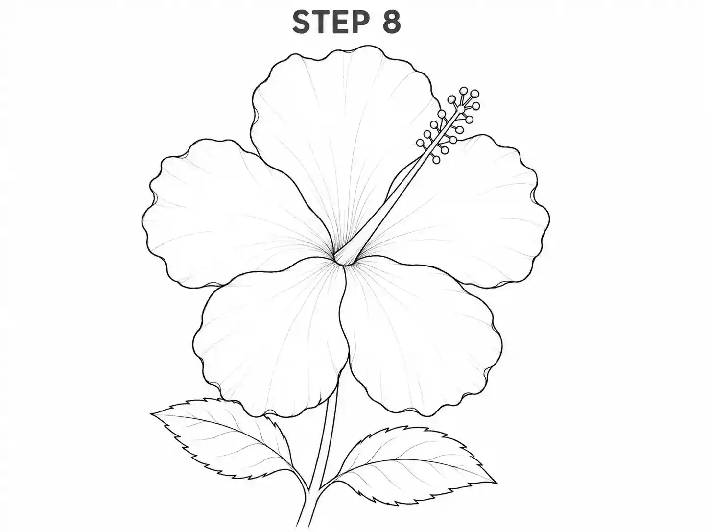 Clean the hibiscus outline
