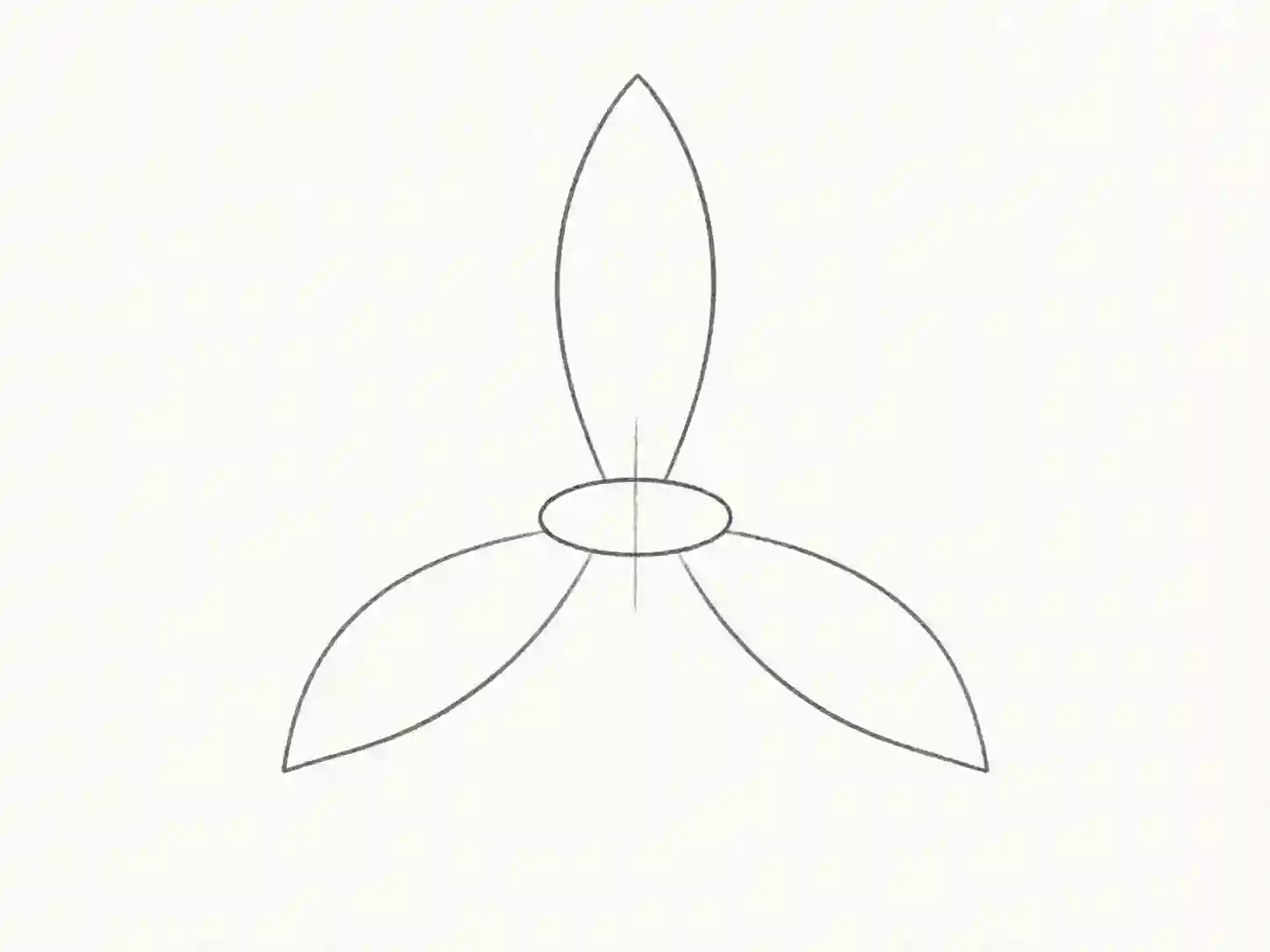 drawing of a lily flower