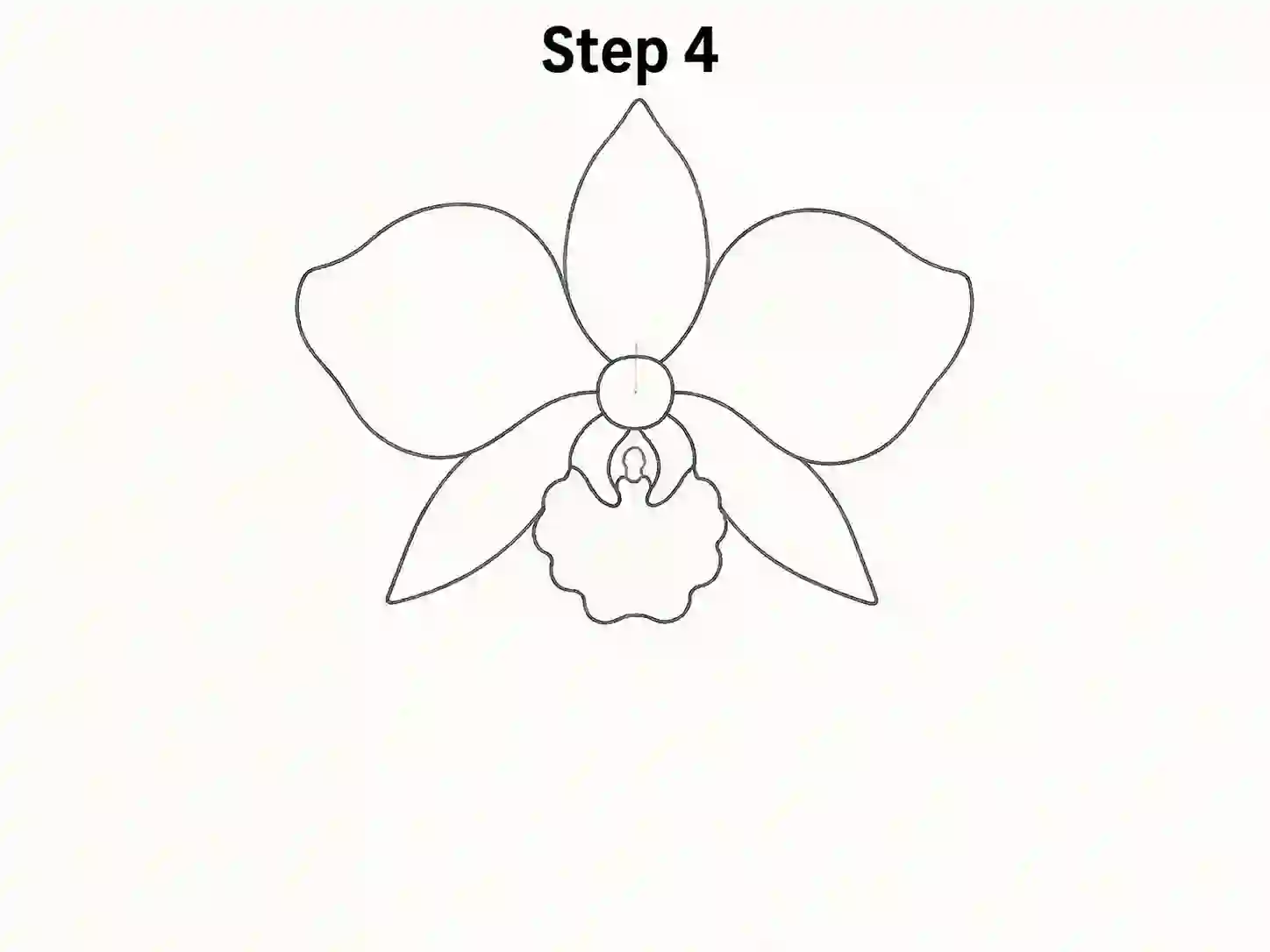 orchid lip drawing
