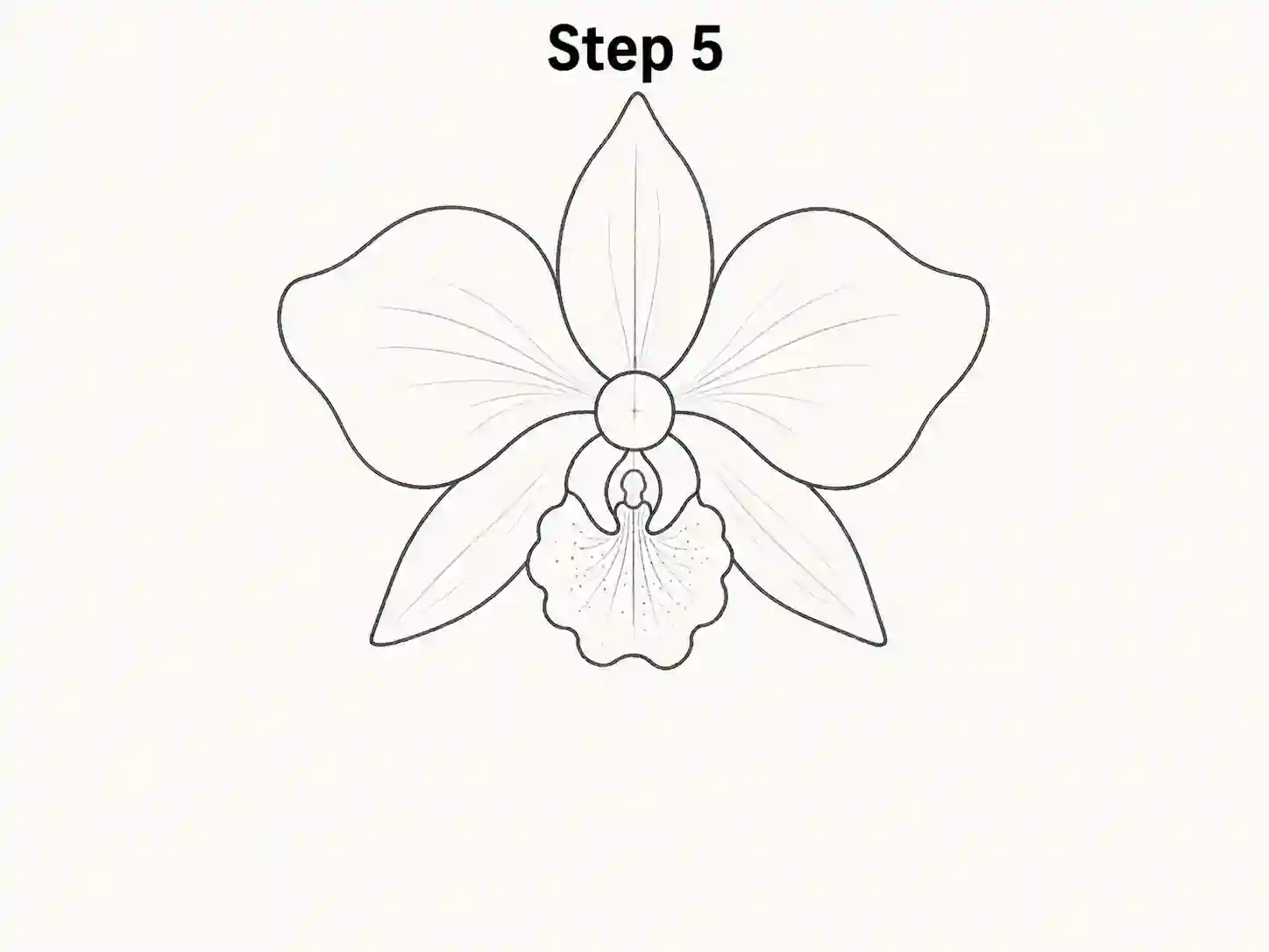 orchid pencil drawing