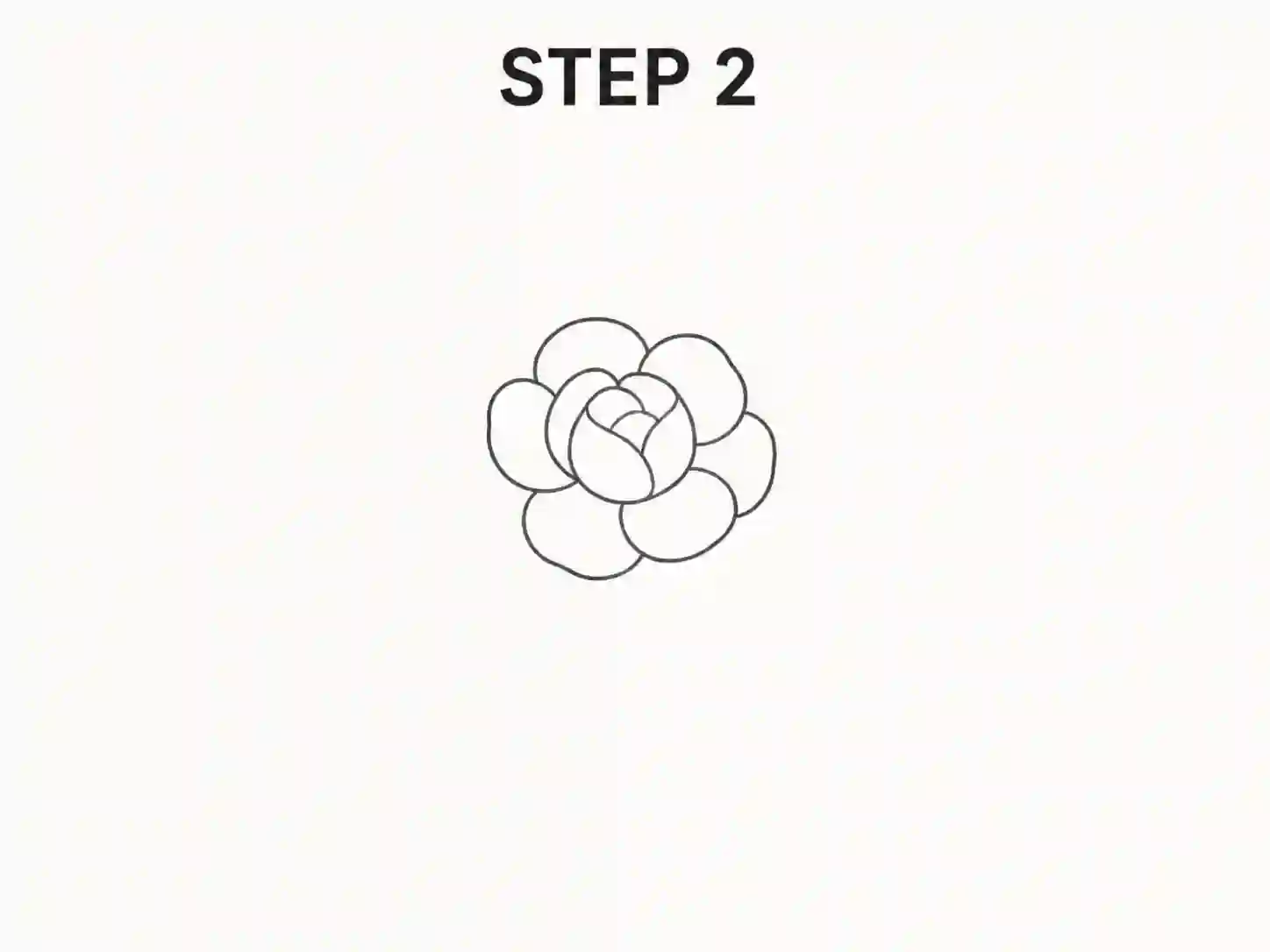 peony flower drawing