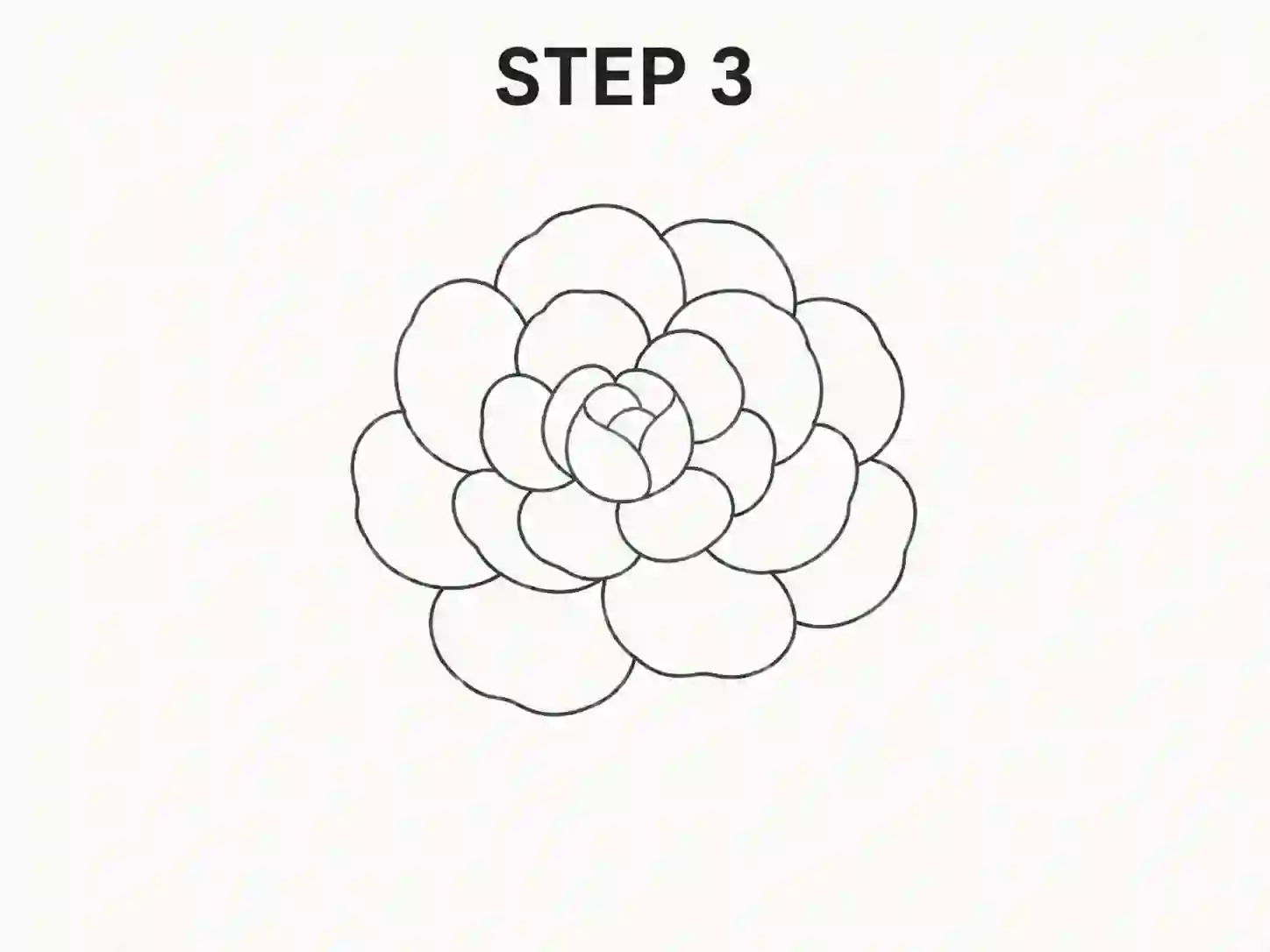 peony drawing easy