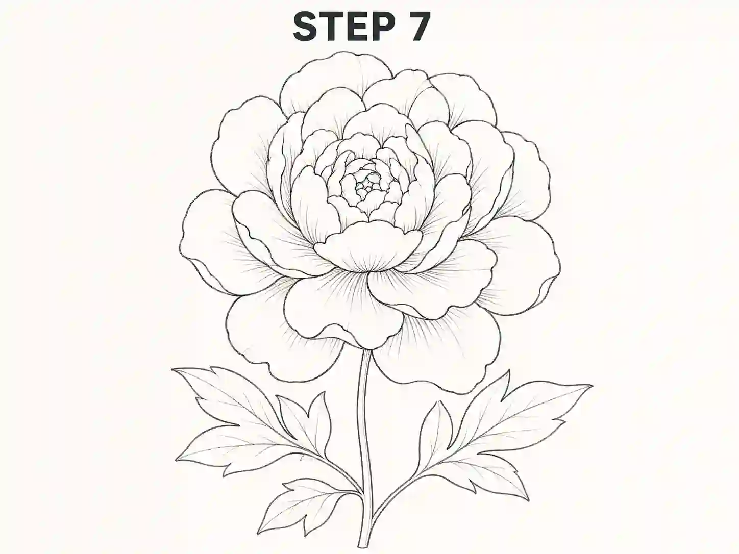 peony leaves drawing