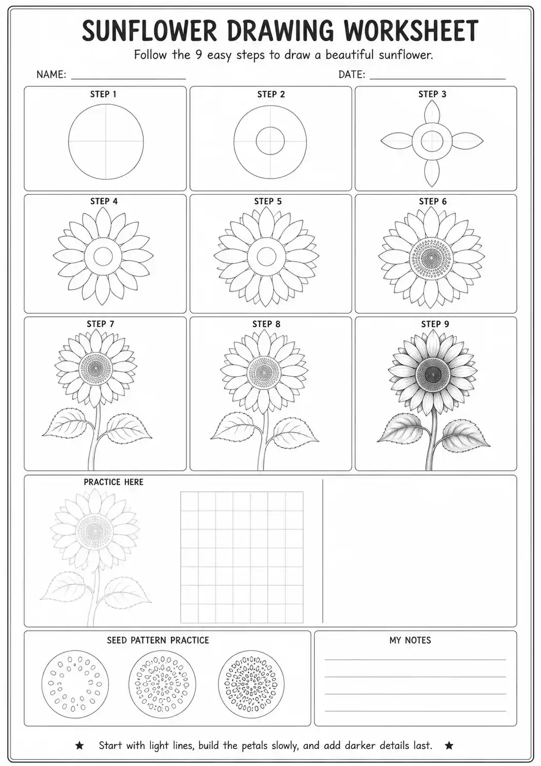 download sunflower drawing worksheet Sunflower drawing worksheet