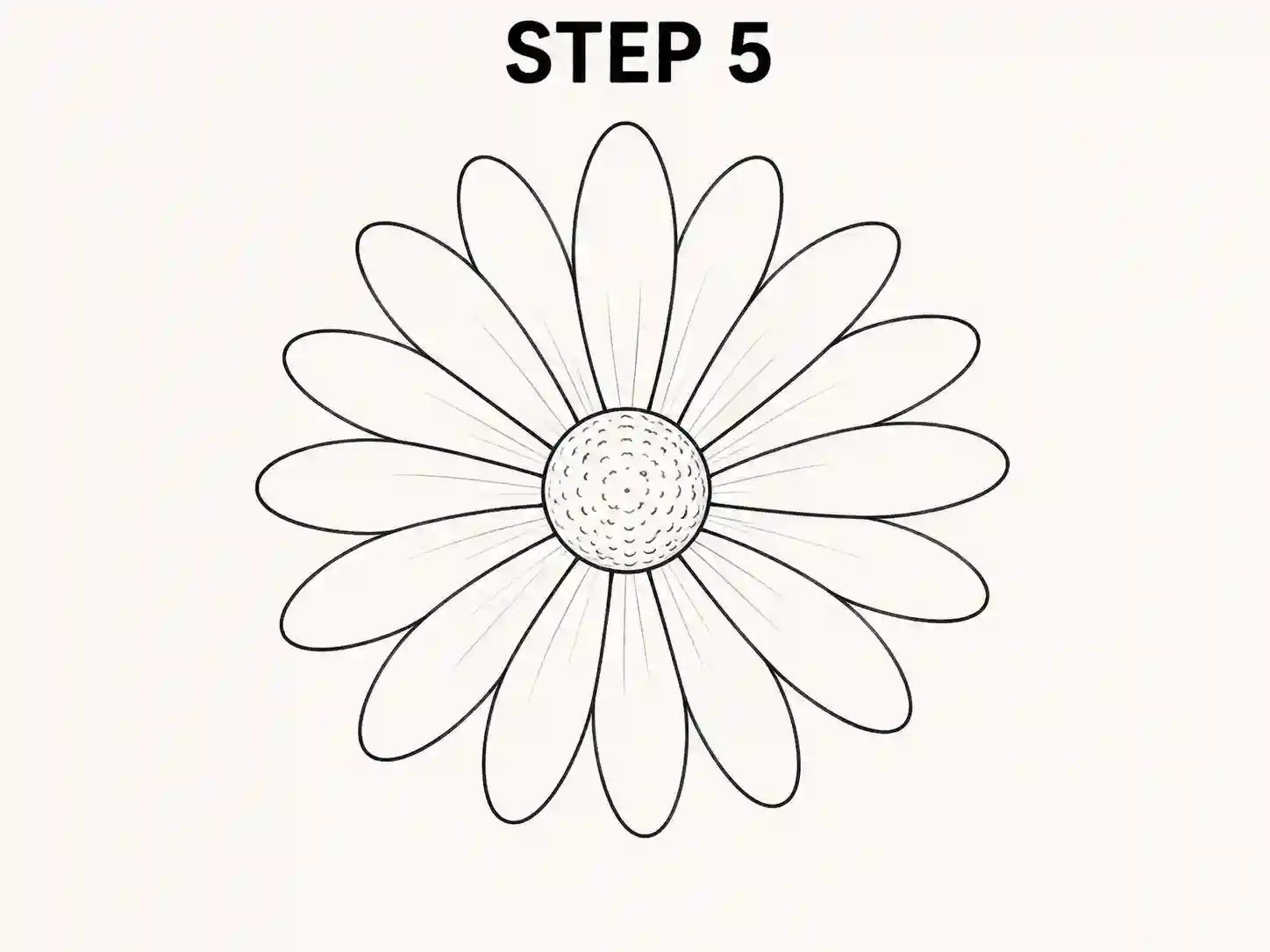 realistic daisy drawing easy daisy drawing