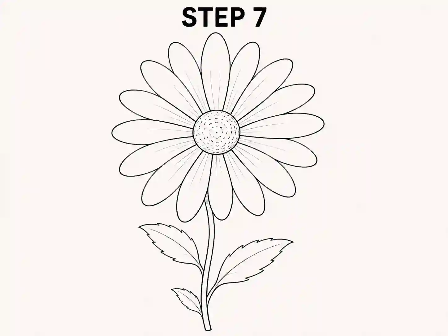 daisy flower drawing how to draw daisy flower