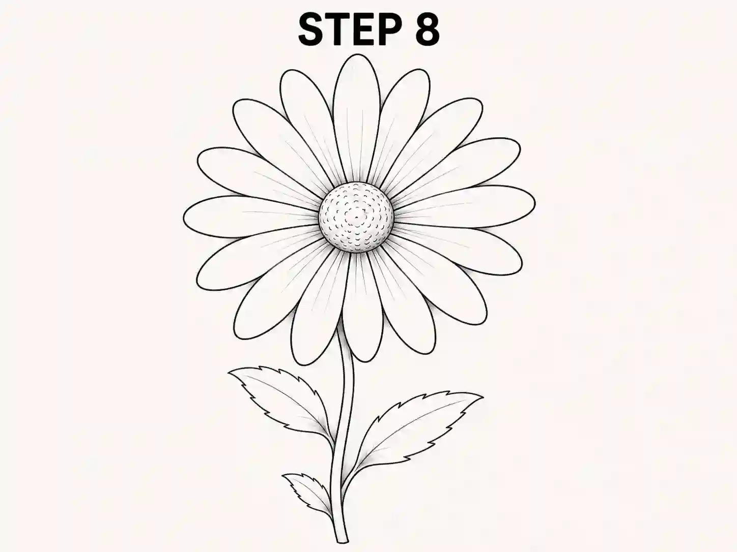 how to draw a daisy flower how to draw a daisy