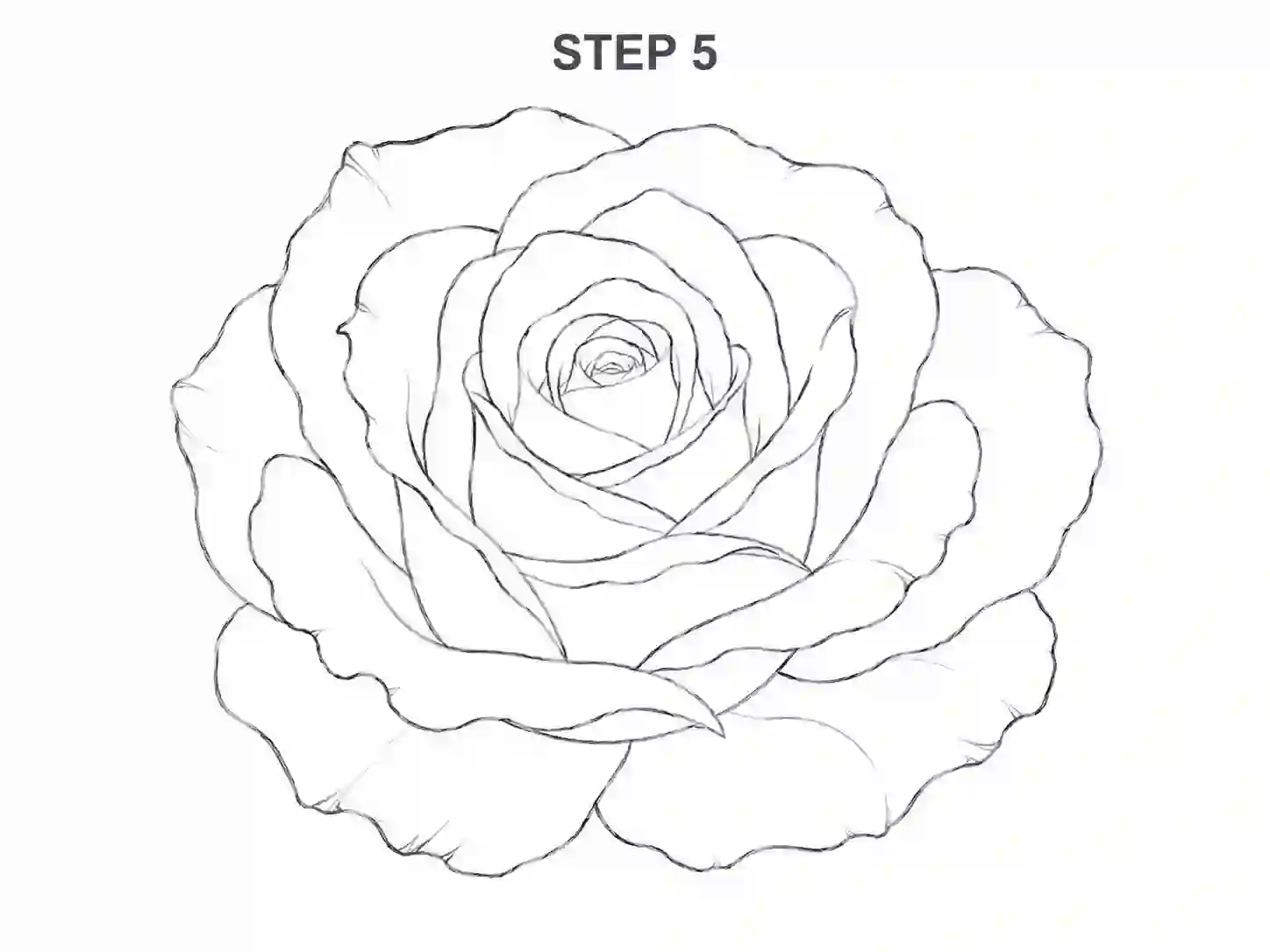 Refine the petal edges