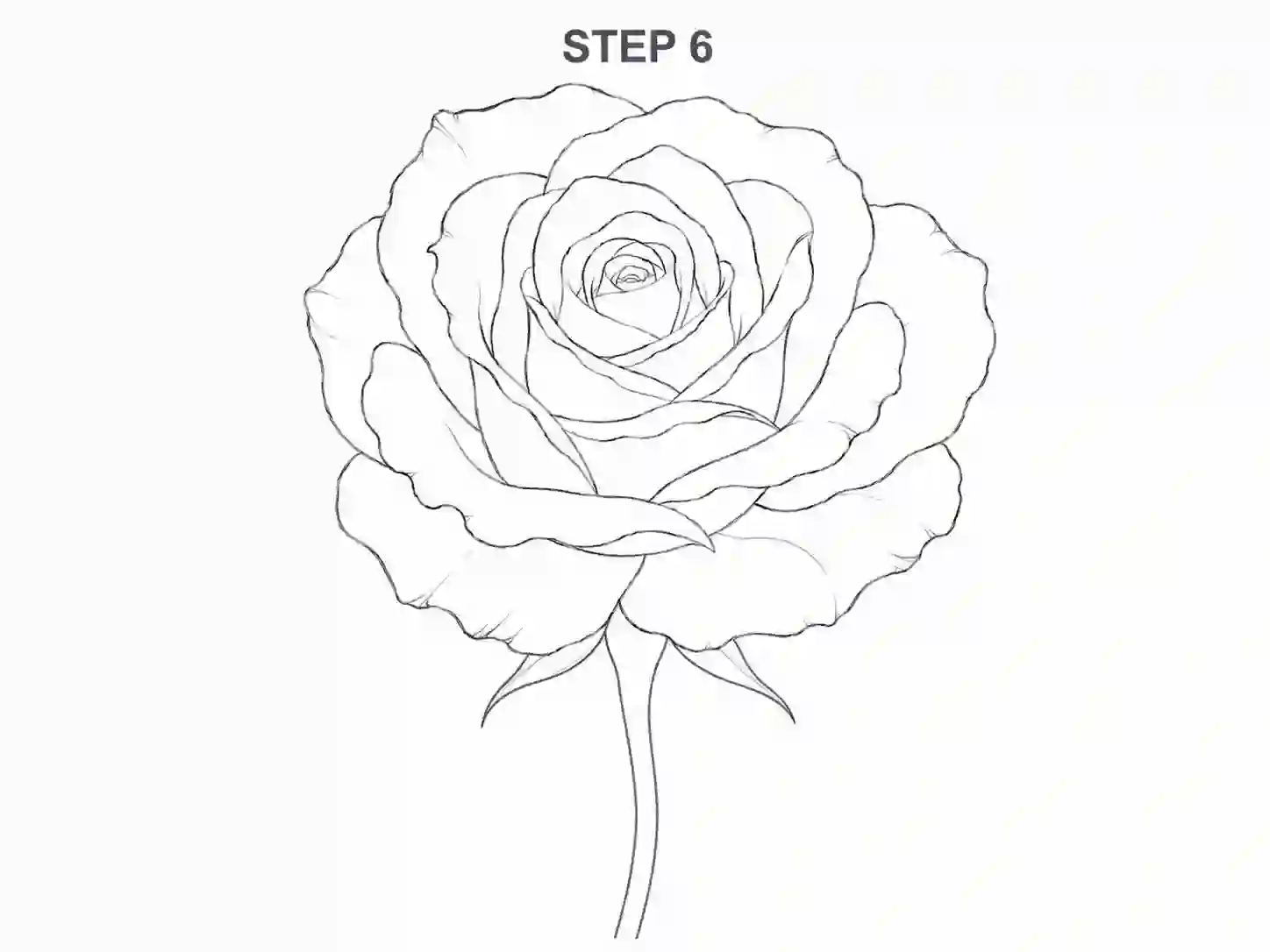 Draw the stem and sepals