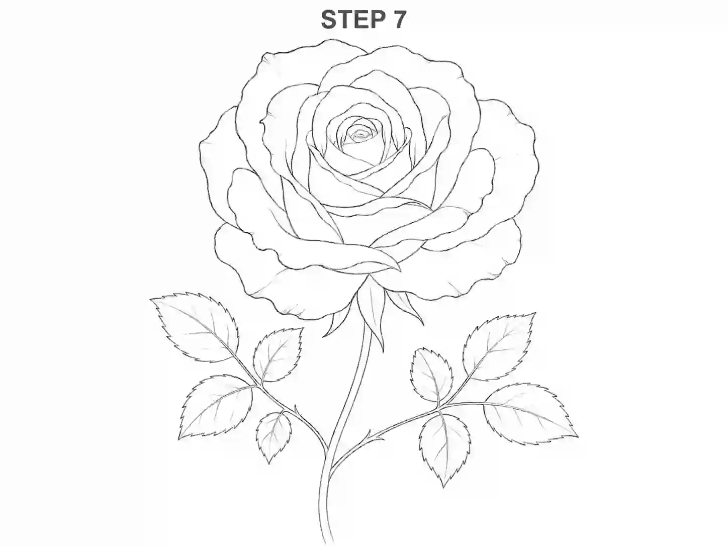 Add rose leaves