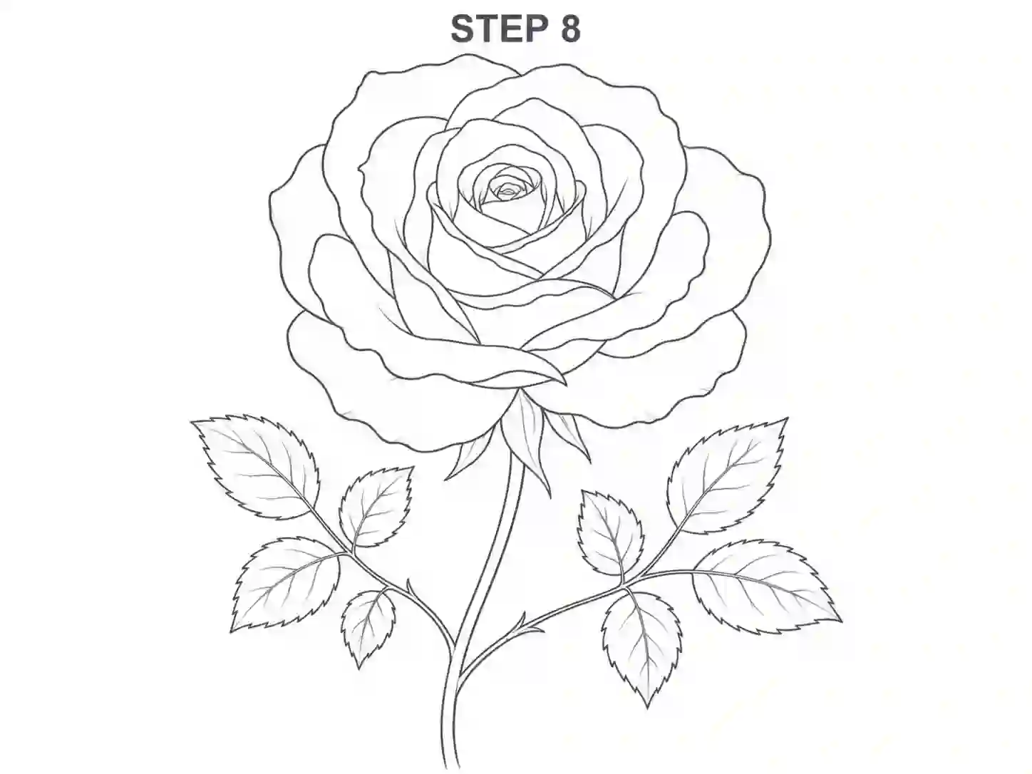 Clean the final outline