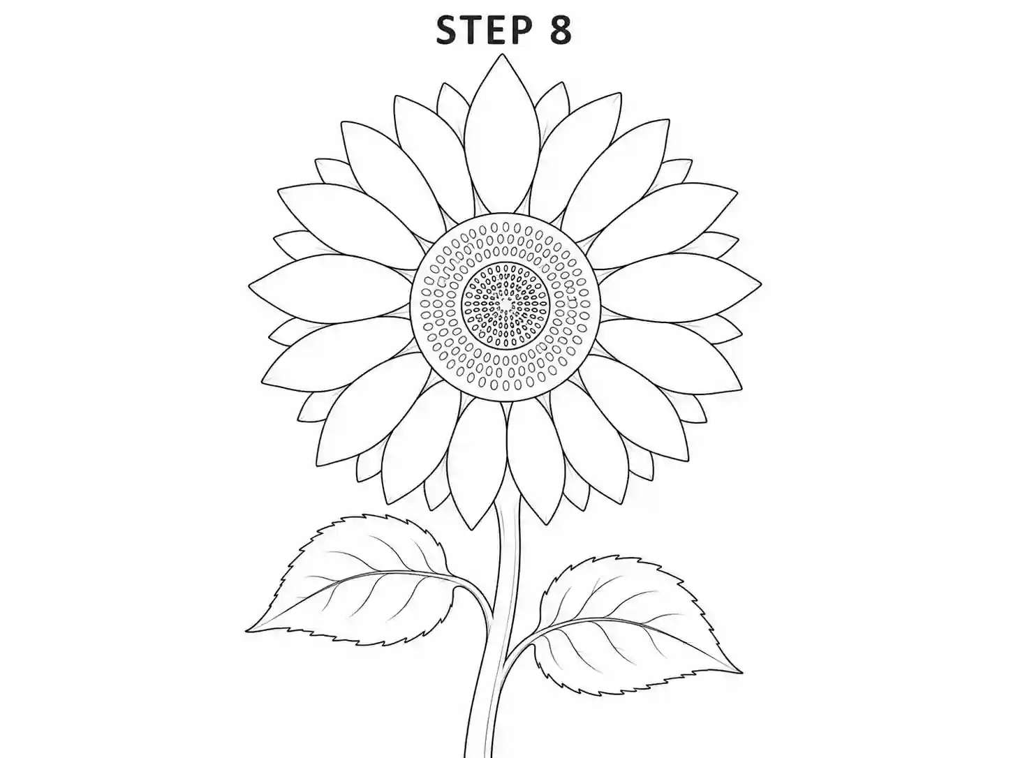 Refine the final sunflower outline