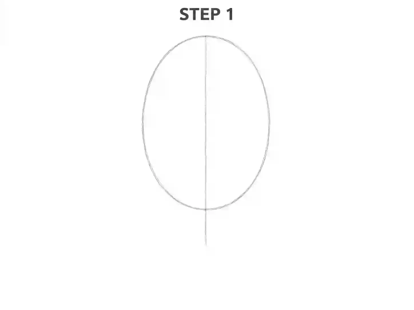 Draw the main tulip flower guide