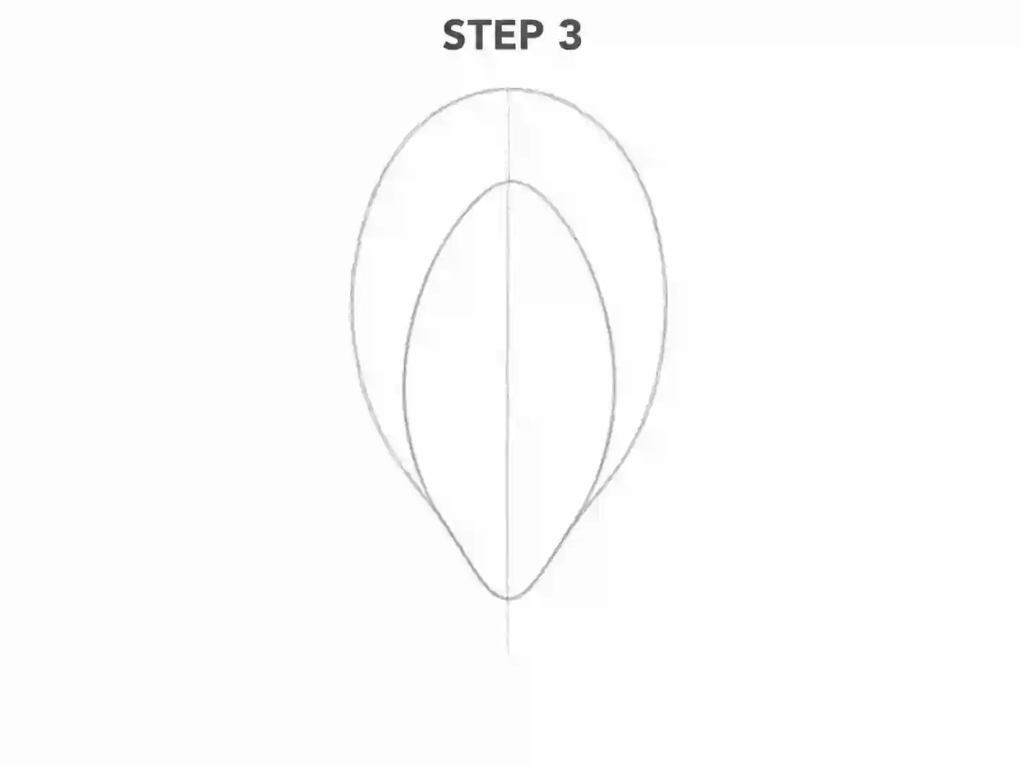 Draw the front tulip petal