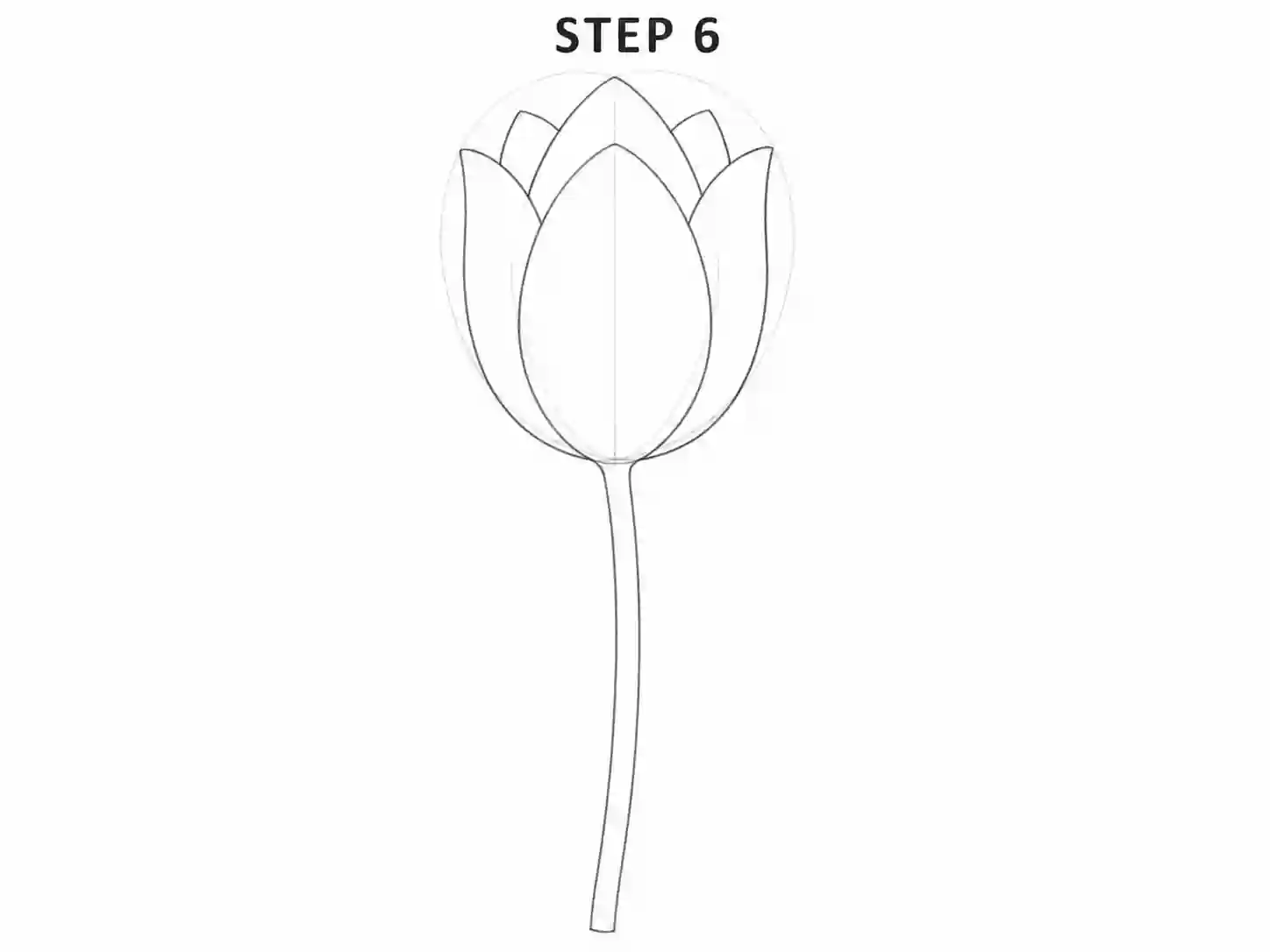 Draw the tulip stem
