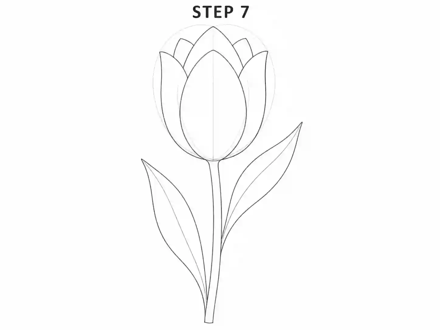 Add the tulip leaves
